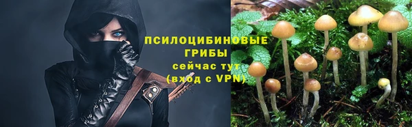 ECSTASY Красноперекопск